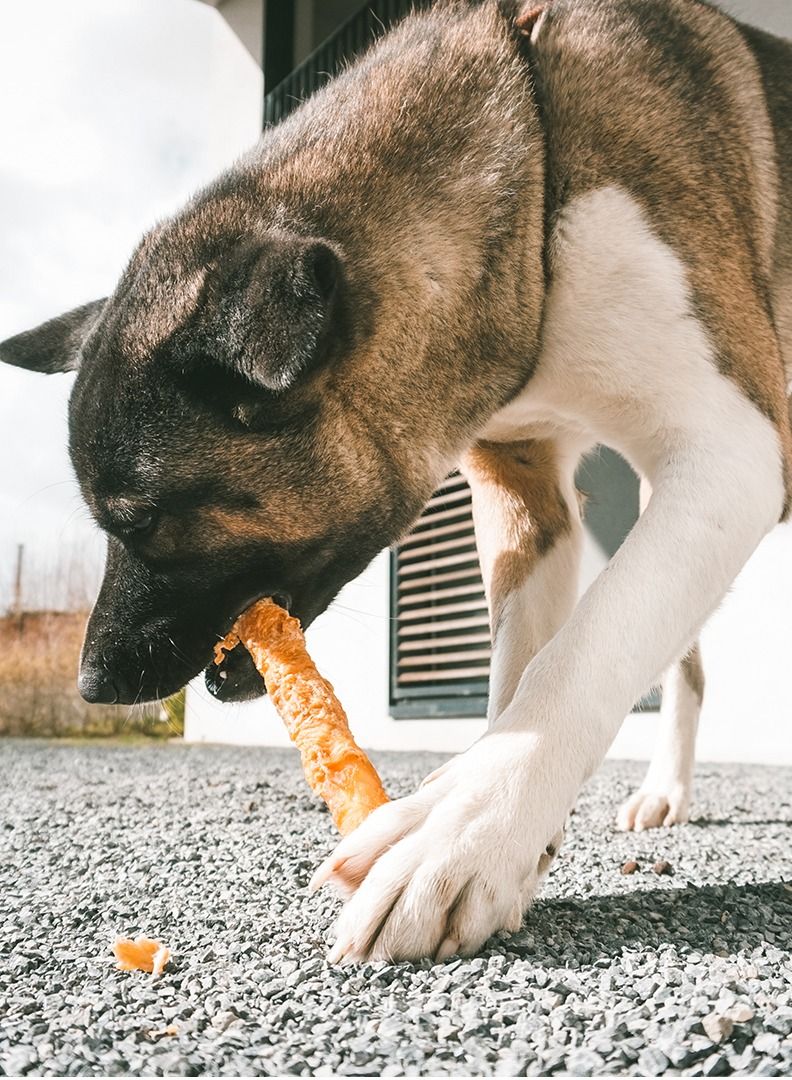 duvo Plus Duvo+ Meat! chicken & rawhide sticks large[Options - 25cm - 2 Sticks] - Image 2