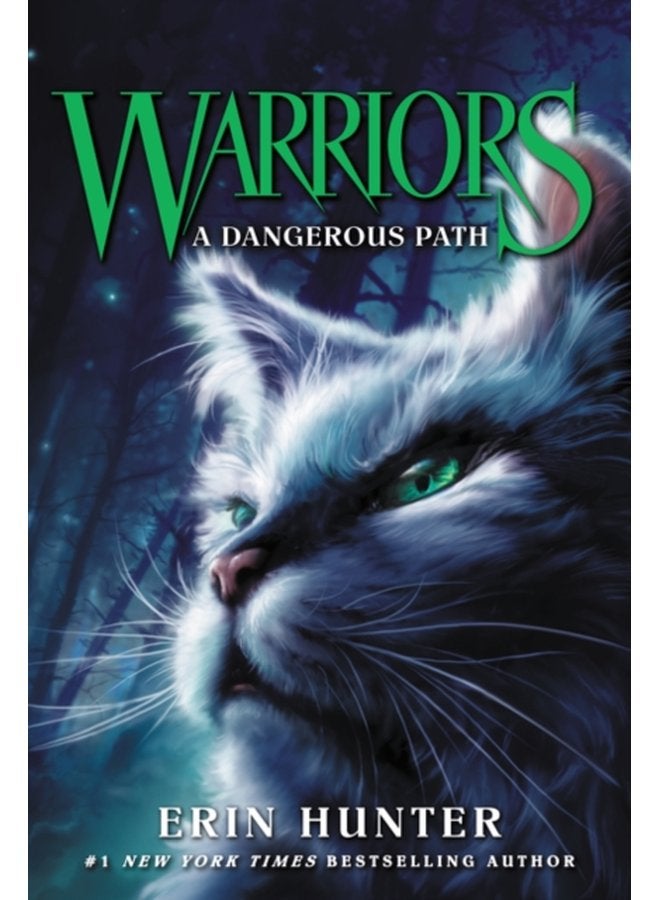 Warriors 5 A Dangerous Path 5 - Paperback
