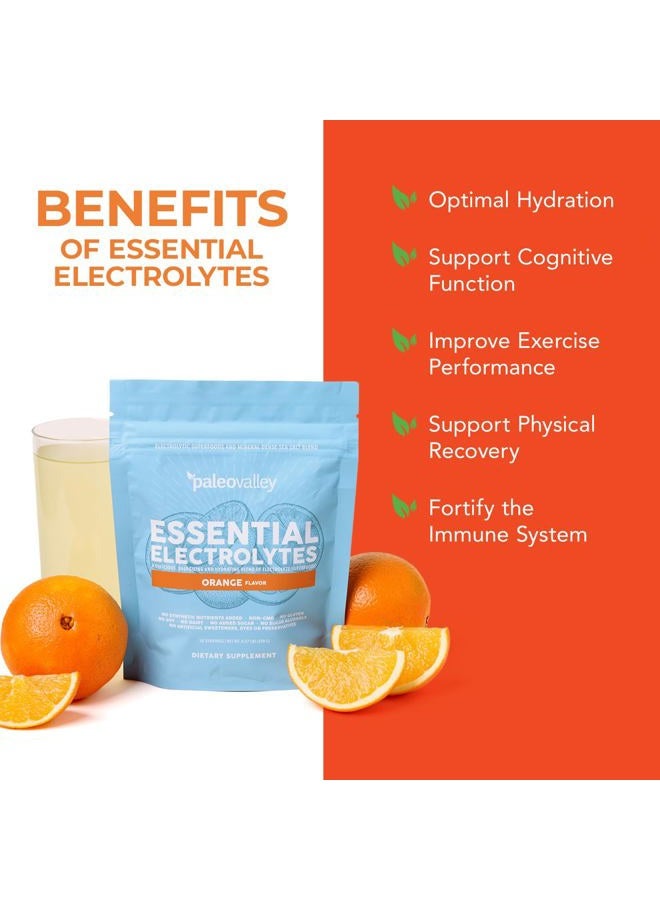 Paleovalley "Essential Electrolyte Powder Full Spectrum Orange Electrolyte Powder for Hydration, Energy and - Image 3