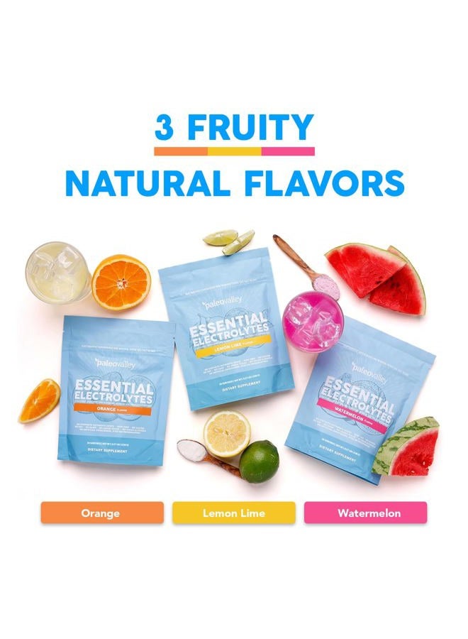 Paleovalley "Essential Electrolyte Powder Full Spectrum Orange Electrolyte Powder for Hydration, Energy and - Image 2