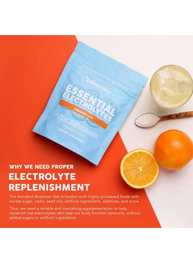 Paleovalley "Essential Electrolyte Powder Full Spectrum Orange Electrolyte Powder for Hydration, Energy and - Image 4