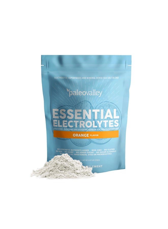 Paleovalley "Essential Electrolyte Powder Full Spectrum Orange Electrolyte Powder for Hydration, Energy and - Image 1