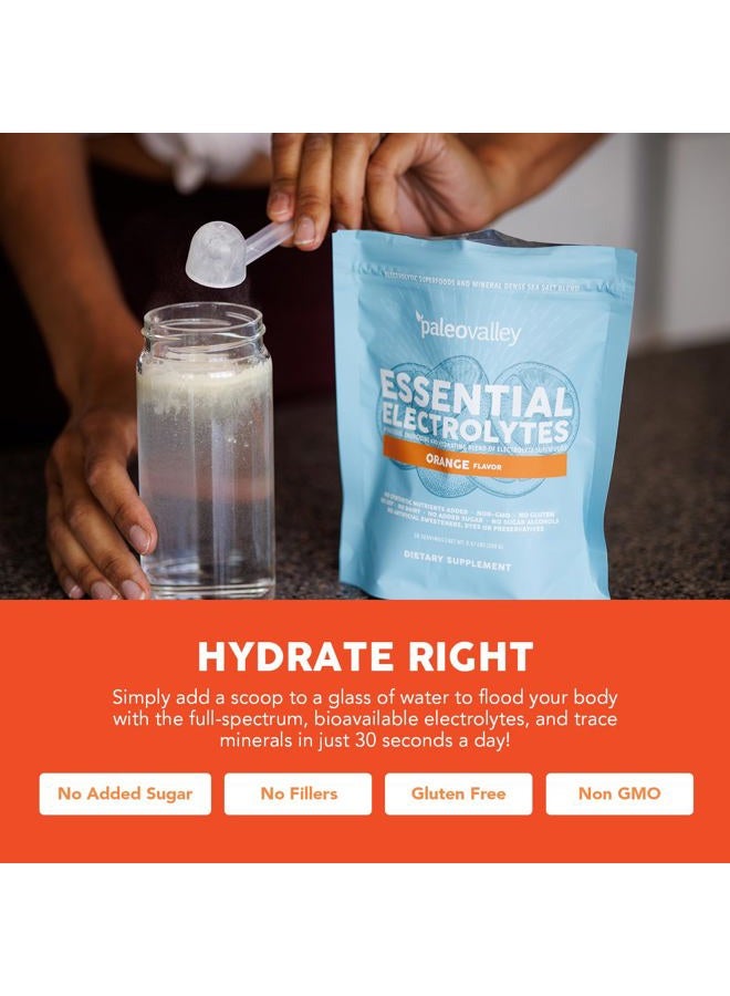 Paleovalley "Essential Electrolyte Powder Full Spectrum Orange Electrolyte Powder for Hydration, Energy and - Image 5