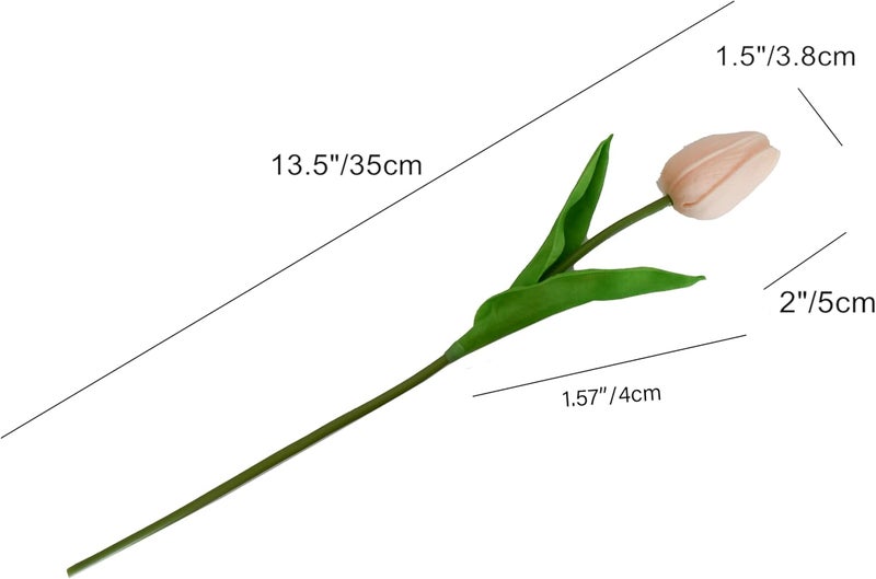 Mandy's Artificial Tulips 20 Stems Champagne PU Faux Flowers for Thanksgiving and Christmas Decorations Wedding Home Decor 13.5 Inch - Image 2