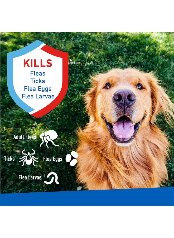 ADAMS Adams Plus Flea & Tick Spray 8 fl oz  - Image 2
