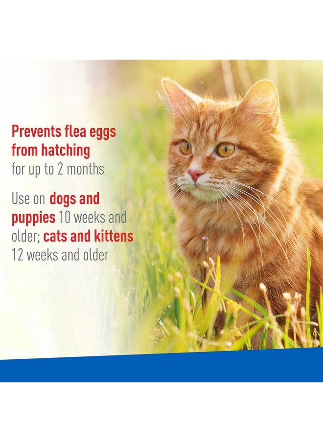 ADAMS Adams Plus Flea & Tick Spray 8 fl oz  - Image 4
