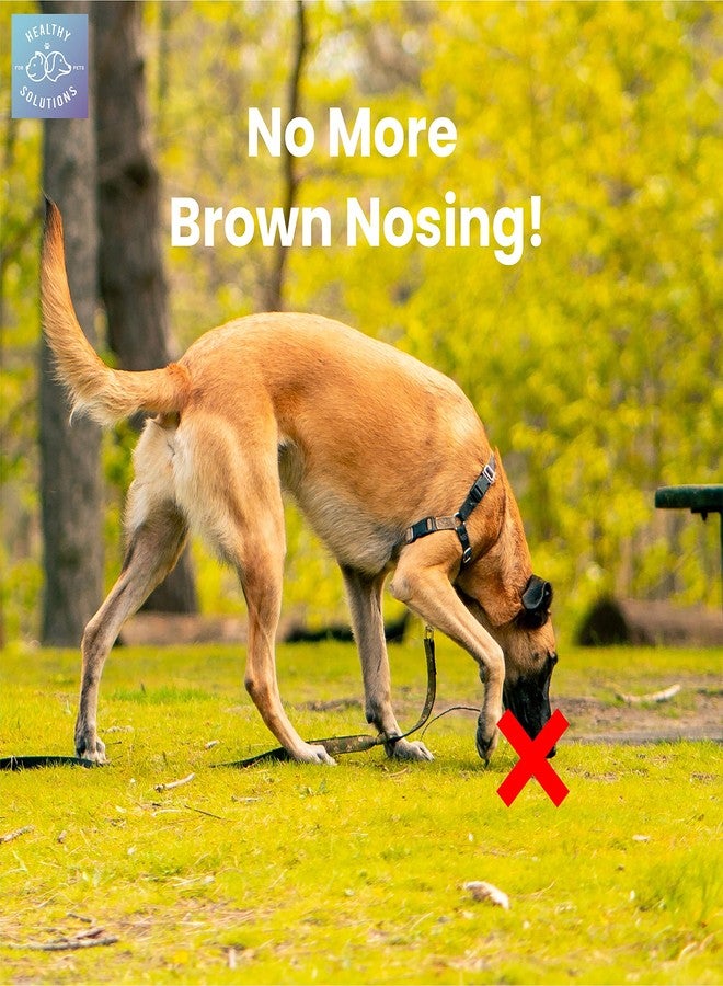 هيلثي سيلوشنز فور بيتس رادع للكلاب التي تأكل البراز - مضغ كوبروفاجيا نو بو يمنع الكلب من أكل البراز - مضغ معزز بمُنعش للفم، وإنزيمات، وبروبيوتيك للمساعدة في تخفيف هذه العادة السيئة والتخلص منها | 60 قطعة - Image 3