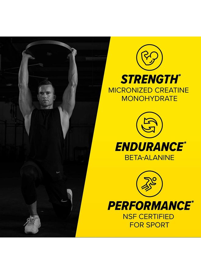 سيلوكور مكمل غذائي سي فور سبورت لما قبل التمرين- بنكهة التوت الأزرق - Image 4