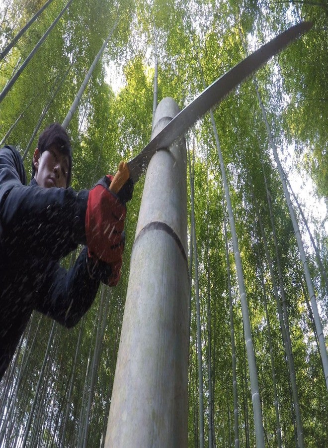 سيلكي منشار يدوي مستقيم من سلسلة Silky Professional Series TSURUGI، أسنان متوسطة 300 مم (452-30) - Image 5