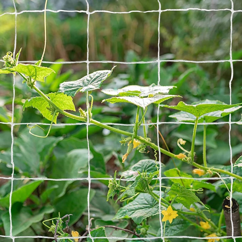 Tcamp Heavy-Duty Polyester Plant Trellis Netting 5 x 15ft (1 Pack) (5 Ft X 15 Ft) - Image 2