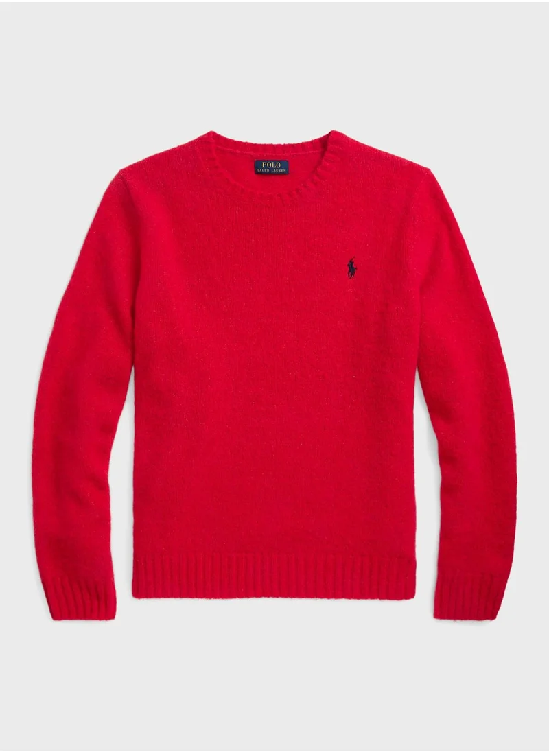 POLO RALPH LAUREN Logo Print Crew Neck Sweater