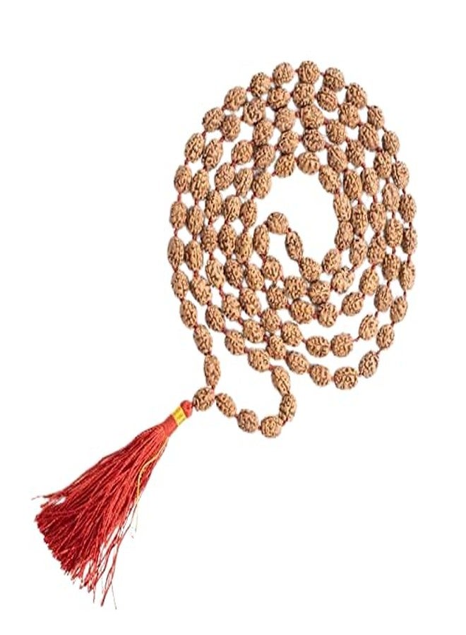 DEVAMA THE DIVINE 3 Mukhi Rudraksha Mala - 108+1Beads - Lab Certified