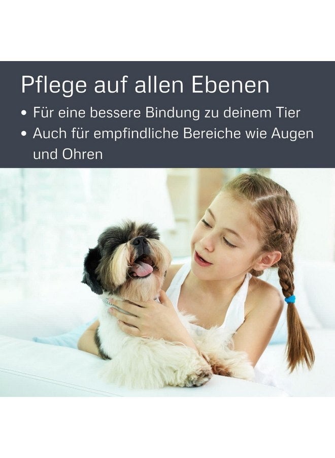 ألكوت مشط إزالة التشابك من الخيزران مع شفرات مسننة من الفولاذ المقاوم للصدأ للحيوانات الأليفة، كبير - Image 5