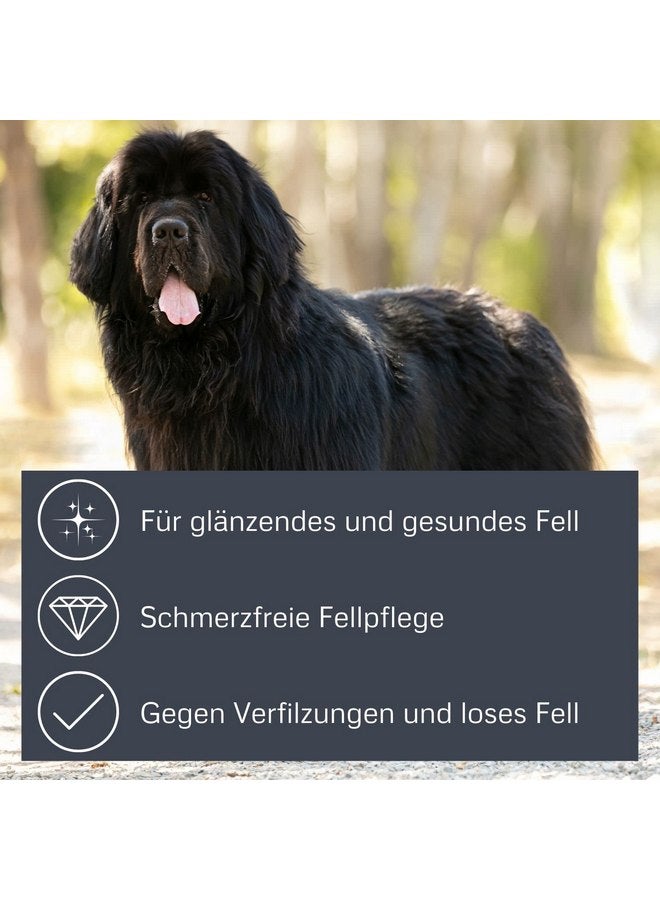 ألكوت مشط إزالة التشابك من الخيزران مع شفرات مسننة من الفولاذ المقاوم للصدأ للحيوانات الأليفة، كبير - Image 4