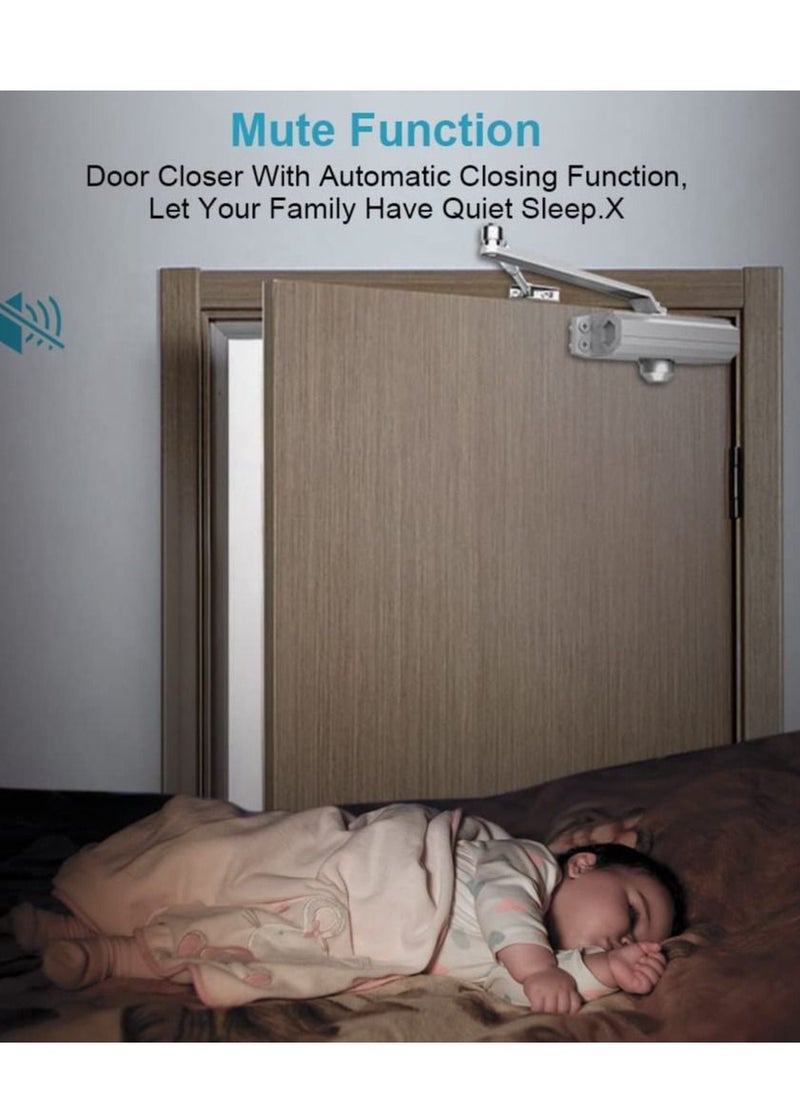 HAS - Japanese Automatic Sliding Door With Adjustable Speed - Image 1