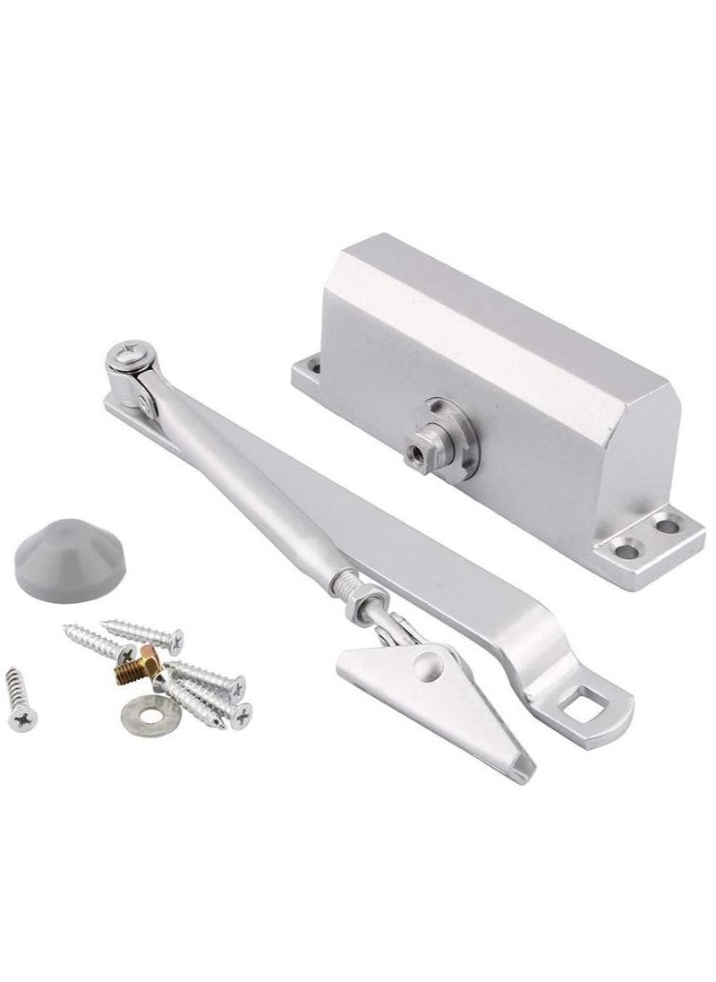 HAS - Japanese Automatic Sliding Door With Adjustable Speed - Image 1