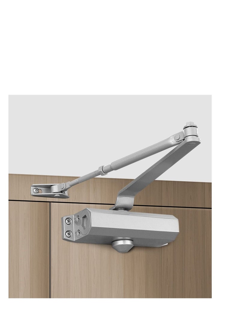 HAS - Japanese Automatic Sliding Door With Adjustable Speed - Image 1