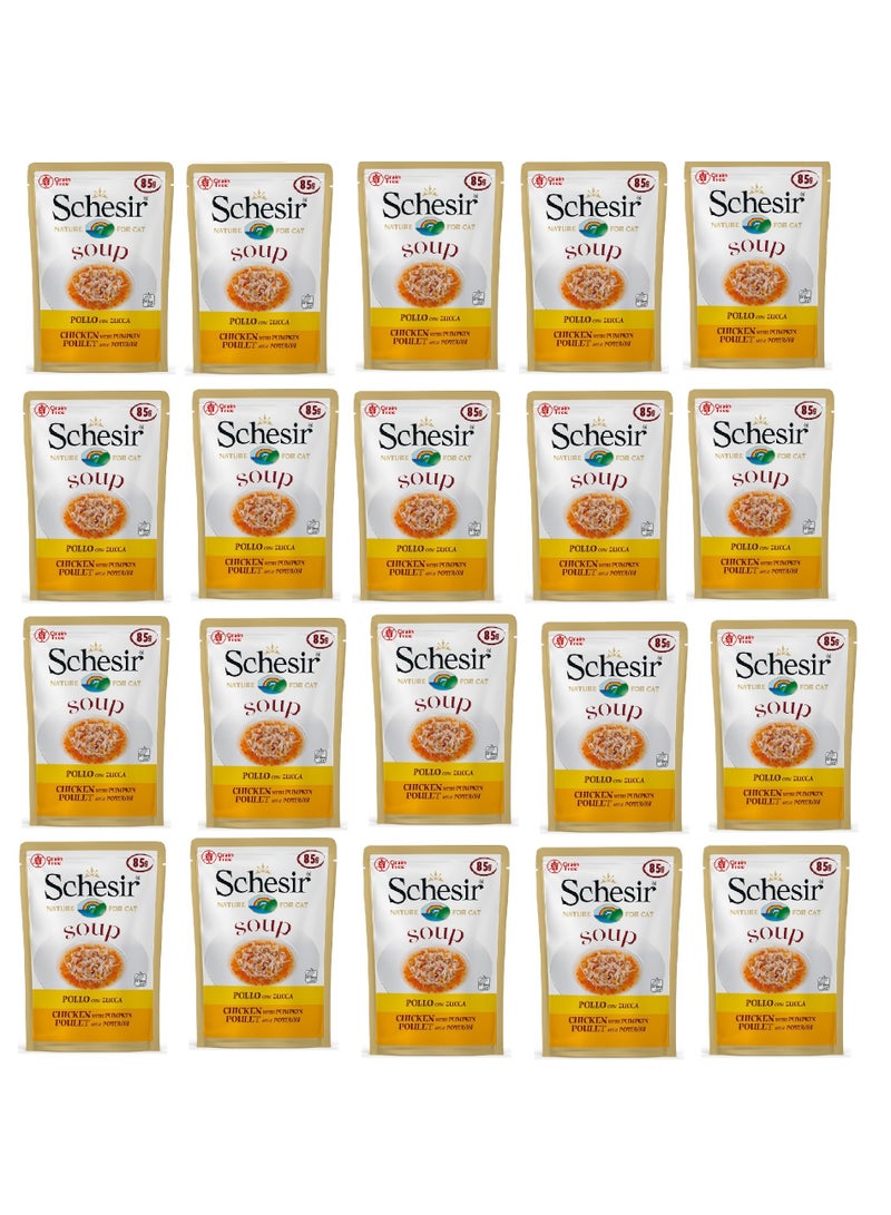 Schesir 20pc Cat Wet Soup-Chicken With Pumpkin 85g - Image 1