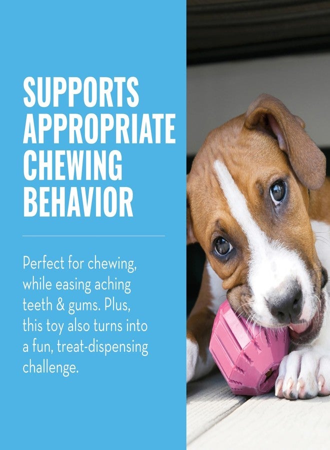 كونج كرة أنشطة للجراء من كونغ - لعبة ناعمة ومتينة من المطاط الطبيعي للجراء - لعبة مضغ للجراء في مرحلة التسنين - تخفف آلام الأسنان واللثة - مناسبة للجراء متوسطة الحجم - لون عشوائي - Image 3