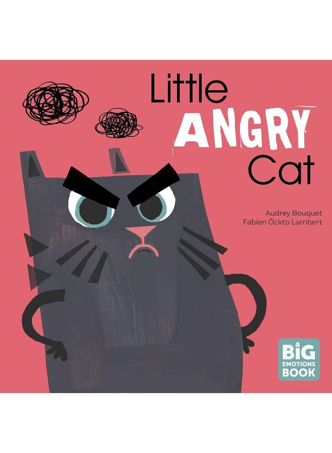 Little Angry Cat