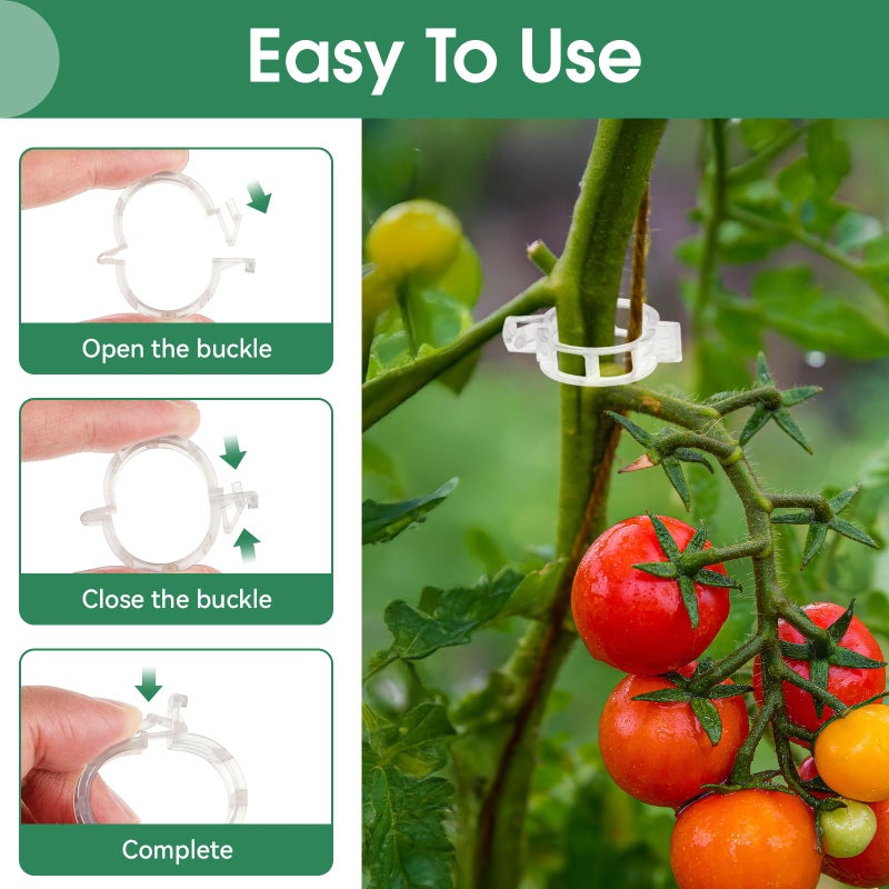 PEASUG 150 Pcs Plant Clips for Climbing Plants, Tomato Clips for Support, Plastic Garden Clips for Plants Grape Vine Vegetables Make Plant Grow Upright - Image 3