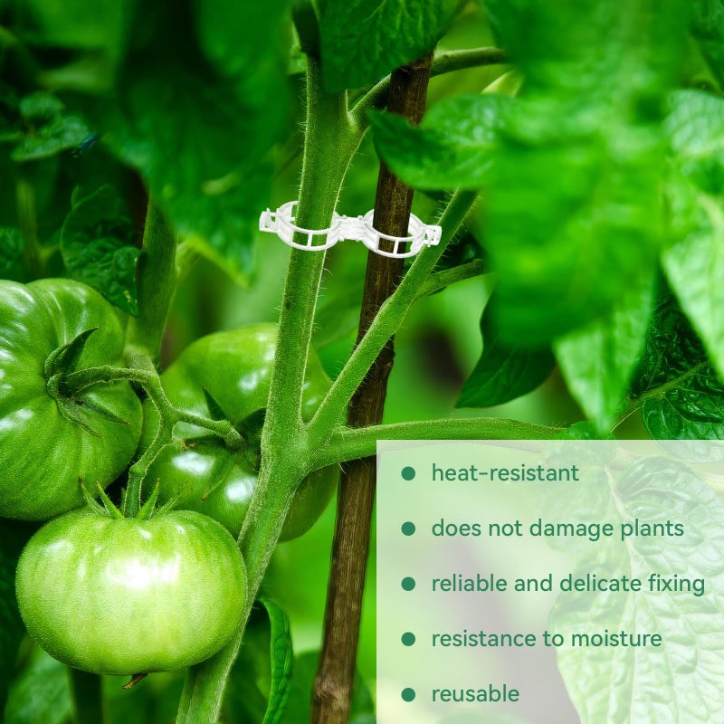 PEASUG 150 Pcs Plant Clips for Climbing Plants, Tomato Clips for Support, Plastic Garden Clips for Plants Grape Vine Vegetables Make Plant Grow Upright - Image 4