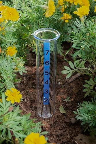 Mateda 7" Capacity Rain Gauge Glass Replacement Tube with Lid Design for Yard Garden Outdoor Home (01) - Image 4
