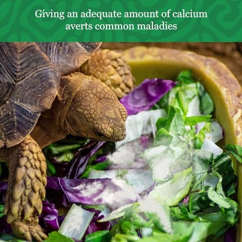 Meric CoCoo Reptile Calcium Powder, Ideal for Leopard Geckos, Chameleons, Iguanas, Turtles, Chicken & Dog, Avoid Vitamin D3 Overdose in Bearded Dragons, Lizards Love It, Energy-Rich Additional Feed, 2 oz. - Image 5