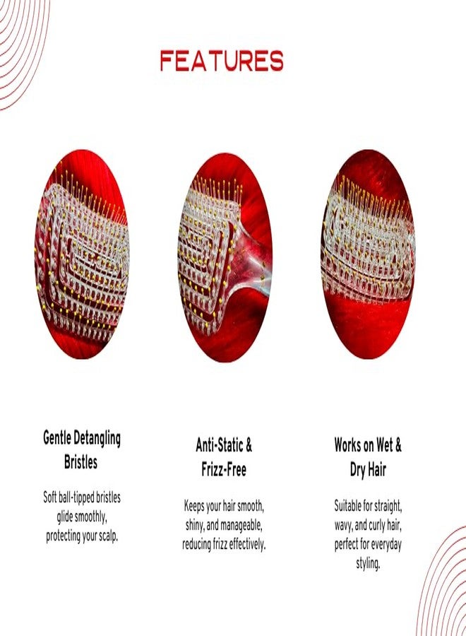 FLASHFOX Rectangle Detangle Hair Brush - Golden Glitter | Anti-Static, Lightweight, Paddle Comb for Wet & Dry Hair, Scalp Massage & Styling Brush for Women & Men (Golden) - Image 4