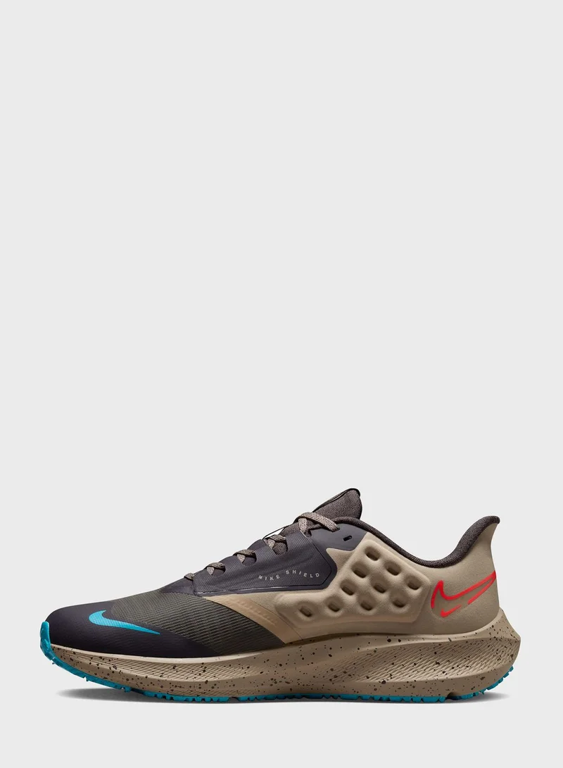 Nike Air Pegasus 39 Shield