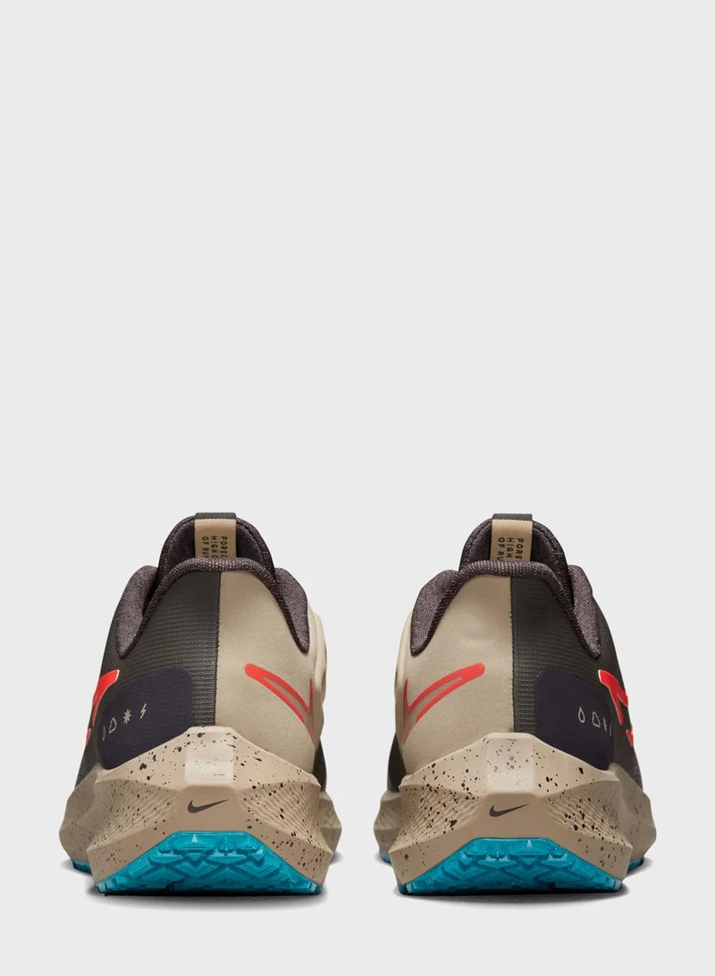 Nike Air Pegasus 39 Shield