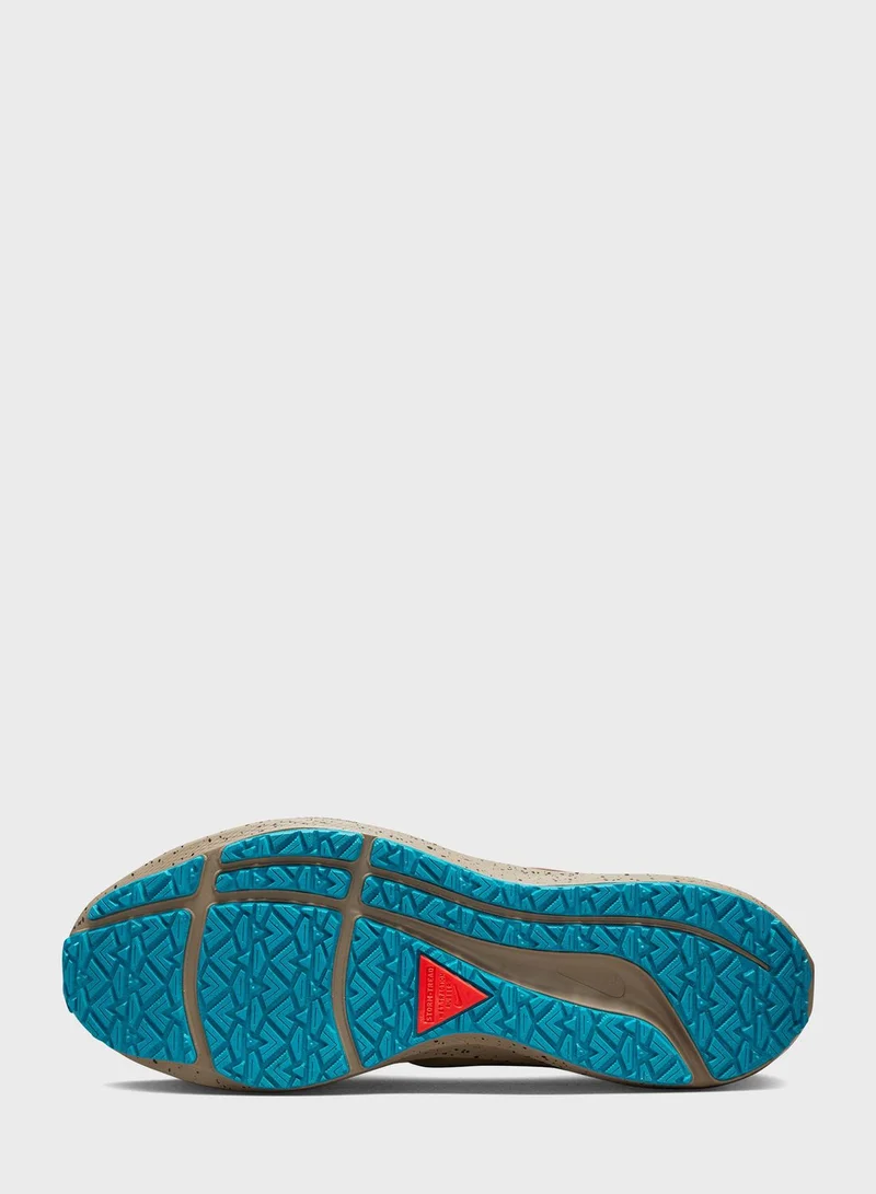 Nike Air Pegasus 39 Shield