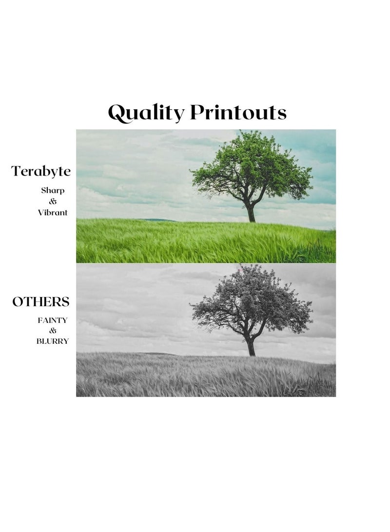 Terabyte TONER CARTRIDGE TN2305/TN2320/TN2310/TN2355 BLACK - Image 2