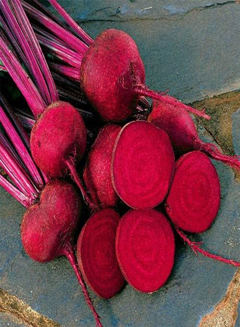 GGOOT RED ACE Hybrid Beet Seeds * 100 Count PKT. * Drought Tolerant * - Image 2