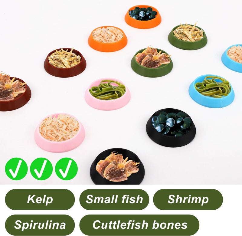 Sinbana 12pcs Colorful Reptile Food Dish Bowls, Plastic Mini Reptile Food and Water Dish for Dubia Isopods Springtails Lizard Gecko Frog Pet Tortoise and More (6 Colors) - Image 3