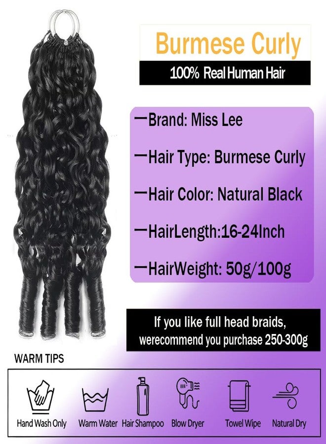 Miss Lee Burmese Curly Feather Crochet Human Hair Pre-Separated Invisible Miracle Knots Human Crochet Hair Extensions Knotless Strings Burmese Curly Hair for Black Women(50g,18inch) - Image 2