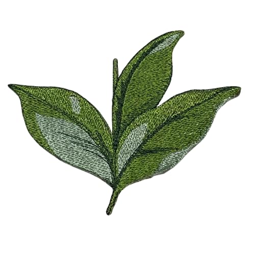 GARAAN - Machine Embroidered Applique, Embroidery Patch, Sew on Patches, DIY Projects, Magnolia Leaf (Pack of 12) - Image 1