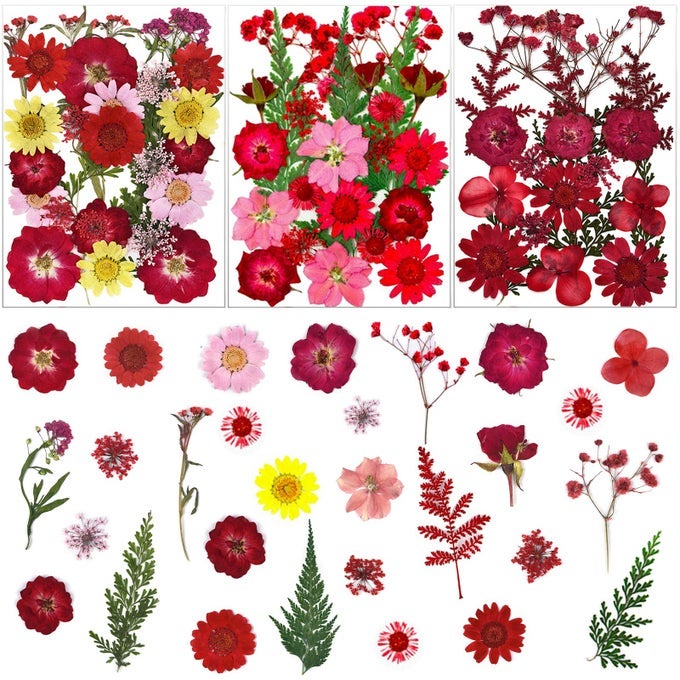 75 PCS RED DRIED FLOWERS REAL NATURAL PRESSED LEAVE PETALS FOR DIY RESIN CANDLE JEWELRY NAIL PENDANT CRAFTS