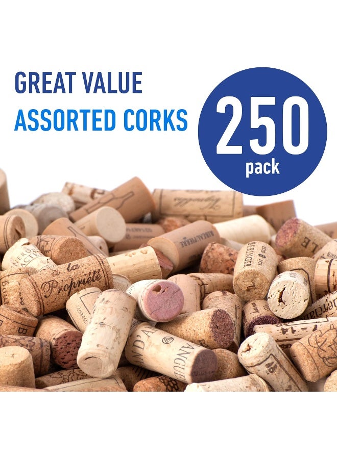 WIDGETCO Premium Recycled Corks, Natural Wine Corks From Around the Us - 250 Count - Image 3