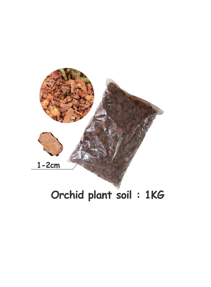 100% Natural Ground Pine Bark for Orchid - Planter Garden Mulch for Landscaping - by MadeTerra (Medium)