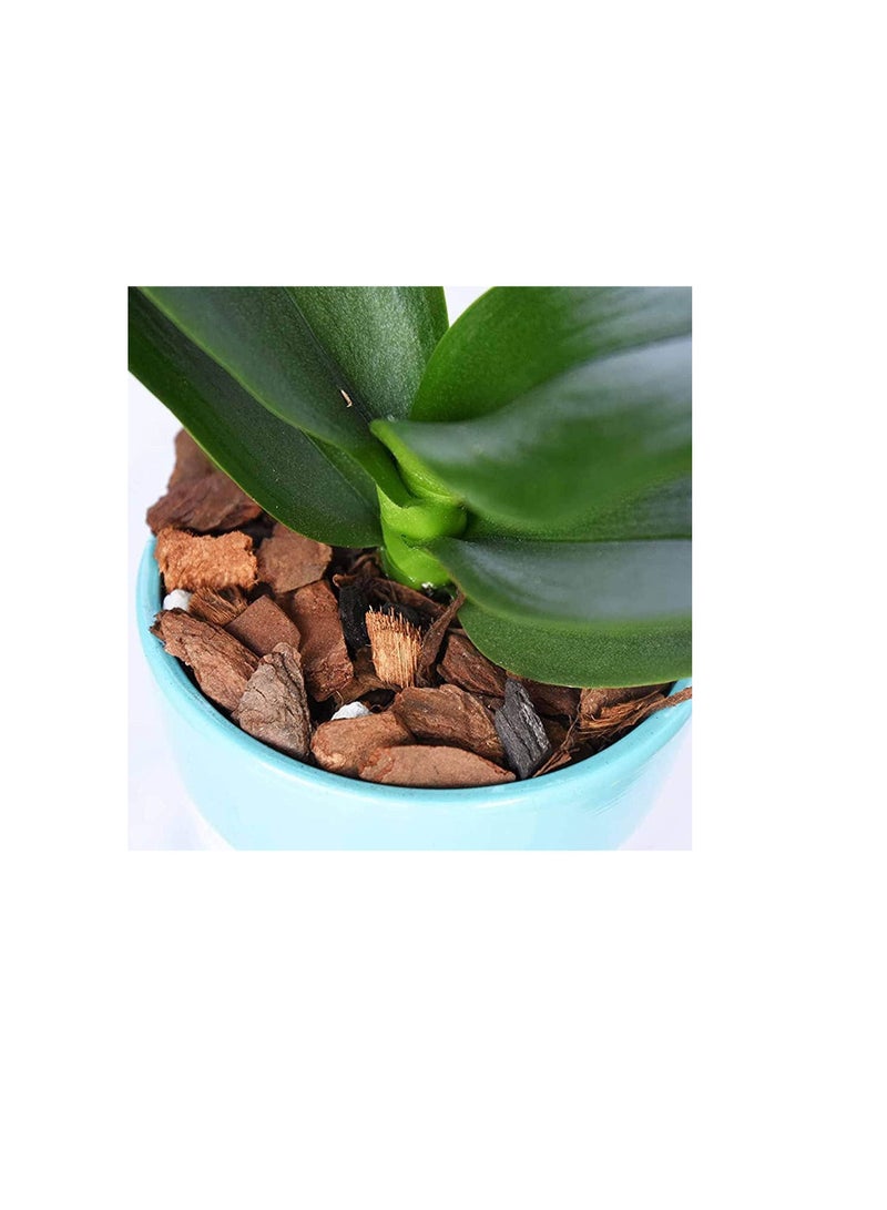 100% Natural Ground Pine Bark for Orchid - Planter Garden Mulch for Landscaping - by MadeTerra (Medium)