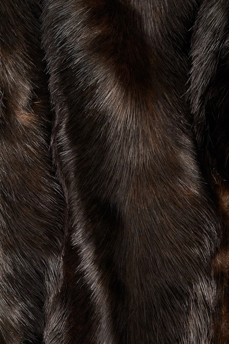 اتش اند ام جاكيت بقبة عالية