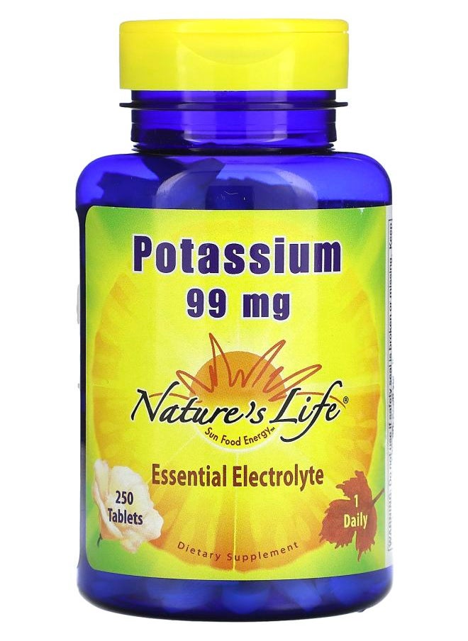Nature's Life Potassium 99 mg 250 Tablets 