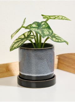 Mojave Midnight Planter with Saucer