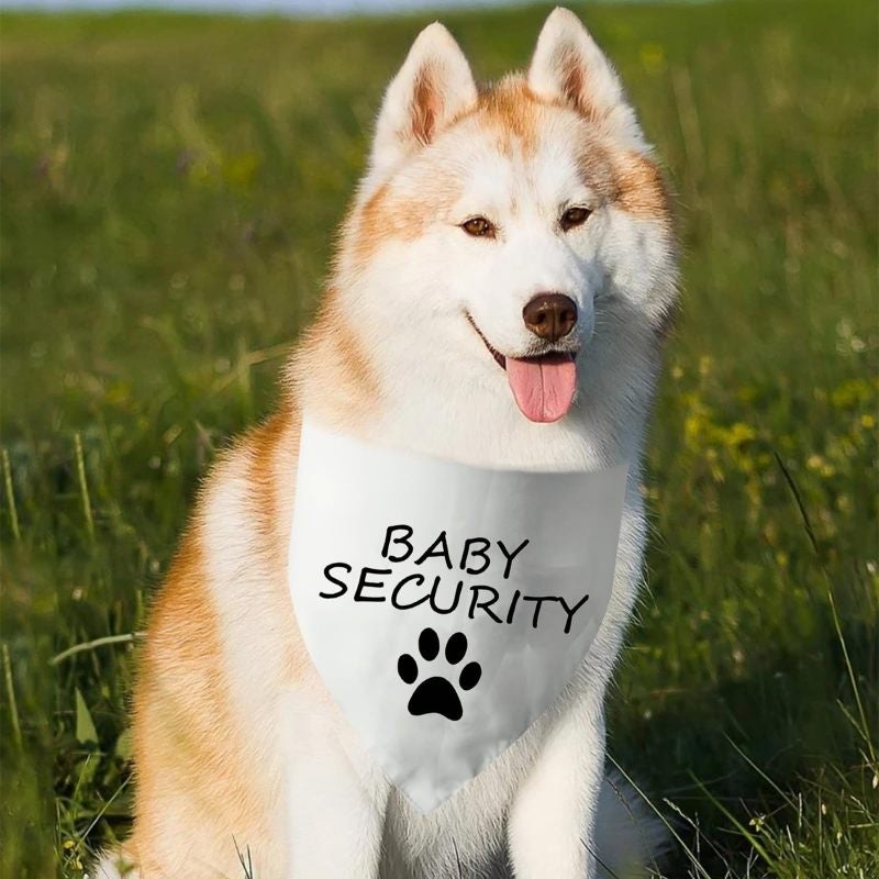 Dog Pregnancy Announcement Bandana 24 x 13 Inches Large Breed Dog 2 Pack - Soft Flannel Comfortable Dog Scarf for Baby Shower - Image 5