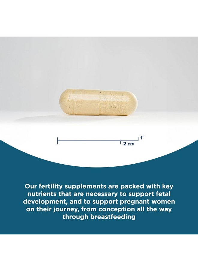 Seeking Health Seeking Health Optimal Prenatal Methyl-Free, Non-Methylated Folate and B12, Pregnancy Support, B6 and Ginger for Digestive Comfort, Supports Healthy Fetal Development, Vegetarian (180 capsules)  - Image 3