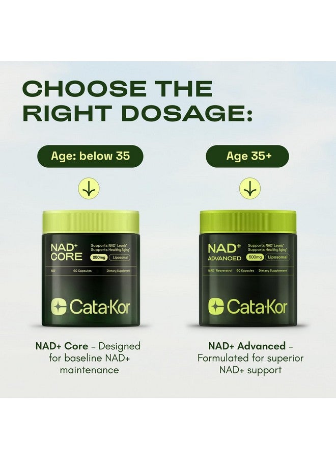 Cata-Kor NMNH Supplement Alternative - Liposomal NAD CORE LipoNAD 250mg - 30-Day Supply - High Purity NAD Supplement for Anti-Aging, Energy, Focus - 60 Capsules - Image 4