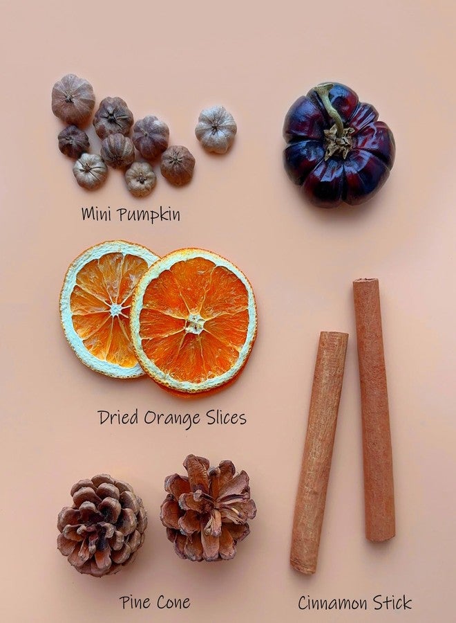 Apragaz Fall Potpourri Bowl Filler with Mini Pumpkin, Cinnamon Stick, Dried Orange Slices, Pine Cone-Perfect for Farmhouse Harvest Christmas Thanksgiving Autumn Halloween Fall Potpourri - Image 5