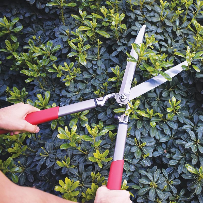 Corona HS15150 ClassicCUT Hedge Shears, 10-Inch, Red - Image 1