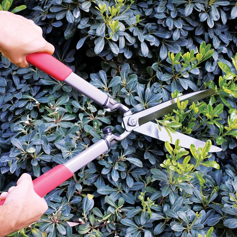 Corona HS15150 ClassicCUT Hedge Shears, 10-Inch, Red - Image 2
